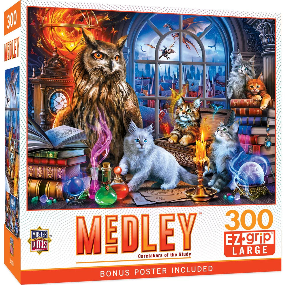 Caretakers of The Study 300 Piece Medley Puzzle