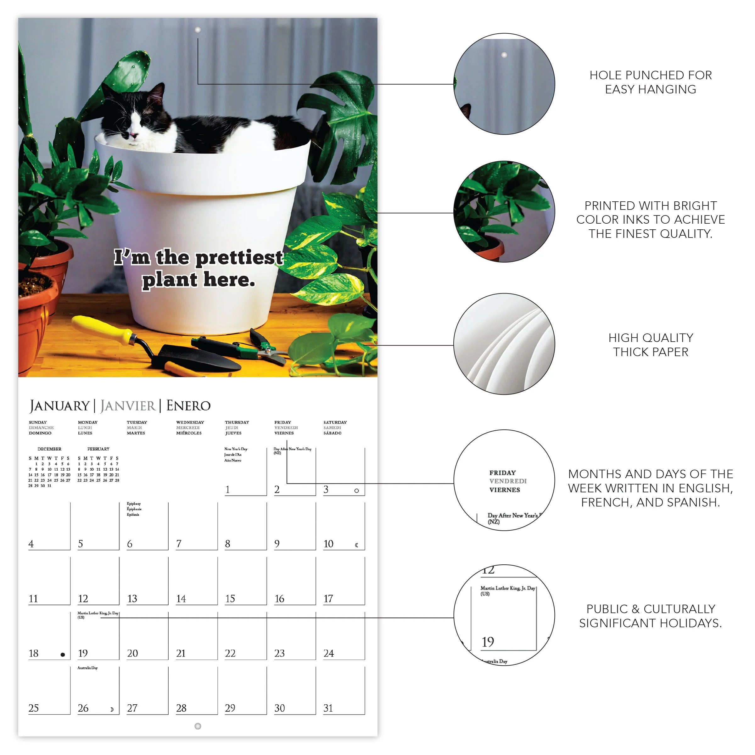 Nuthin But Trouble 2026 Wall Calendar