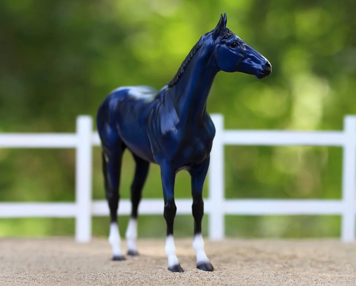 BRYR Big Lex | Decorator Thoroughbred