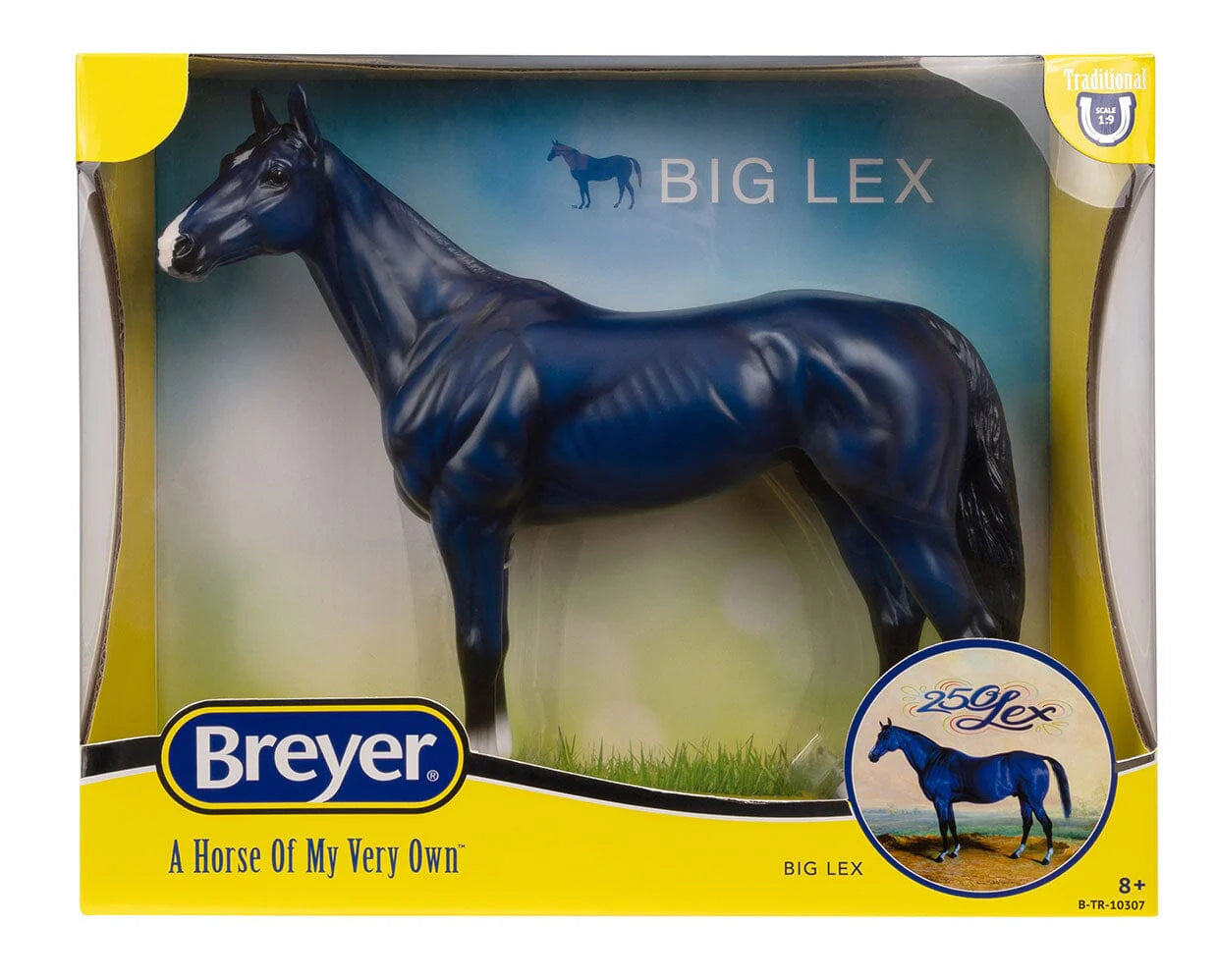 BRYR Big Lex | Decorator Thoroughbred
