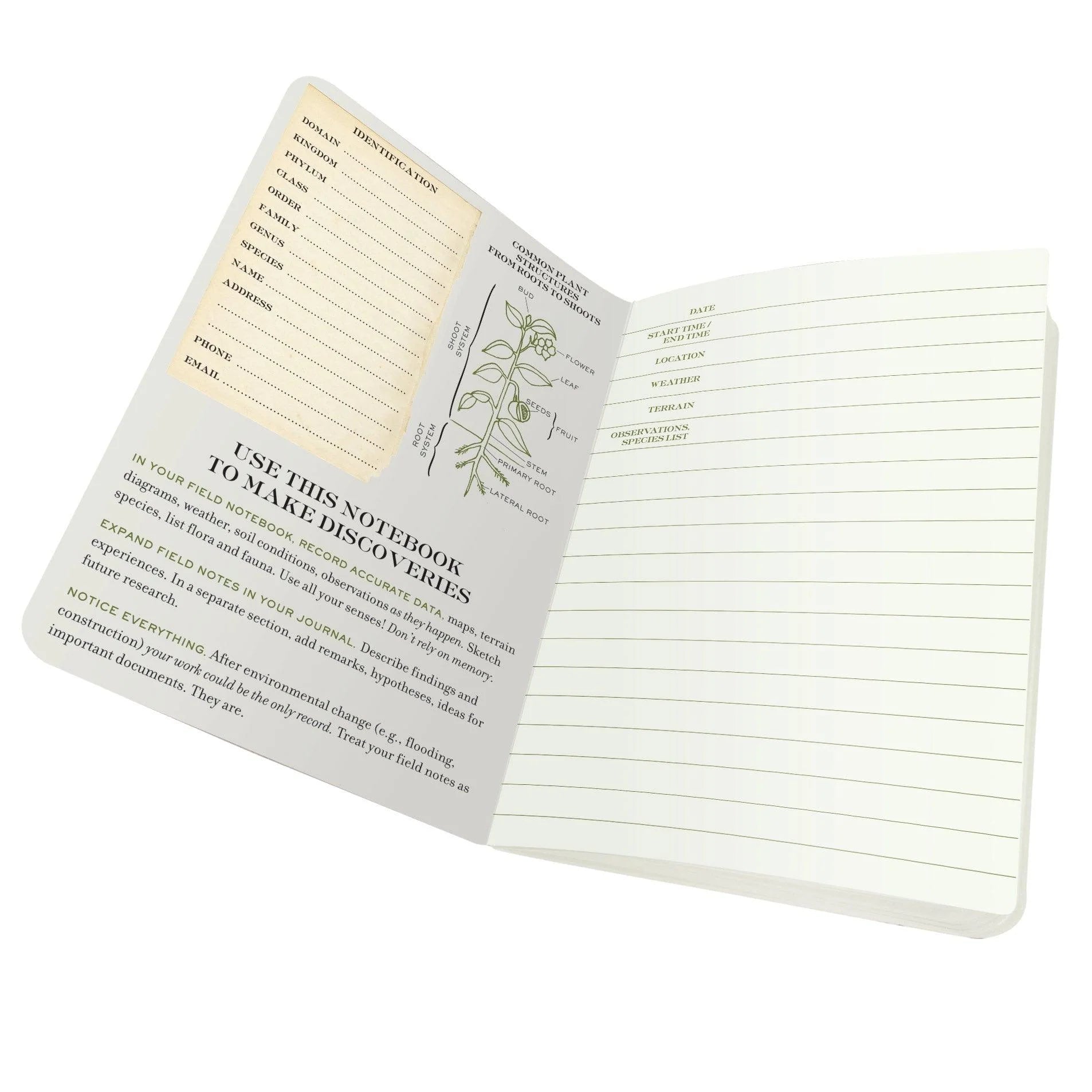 UPG Botany - A Naturalist's Notebook