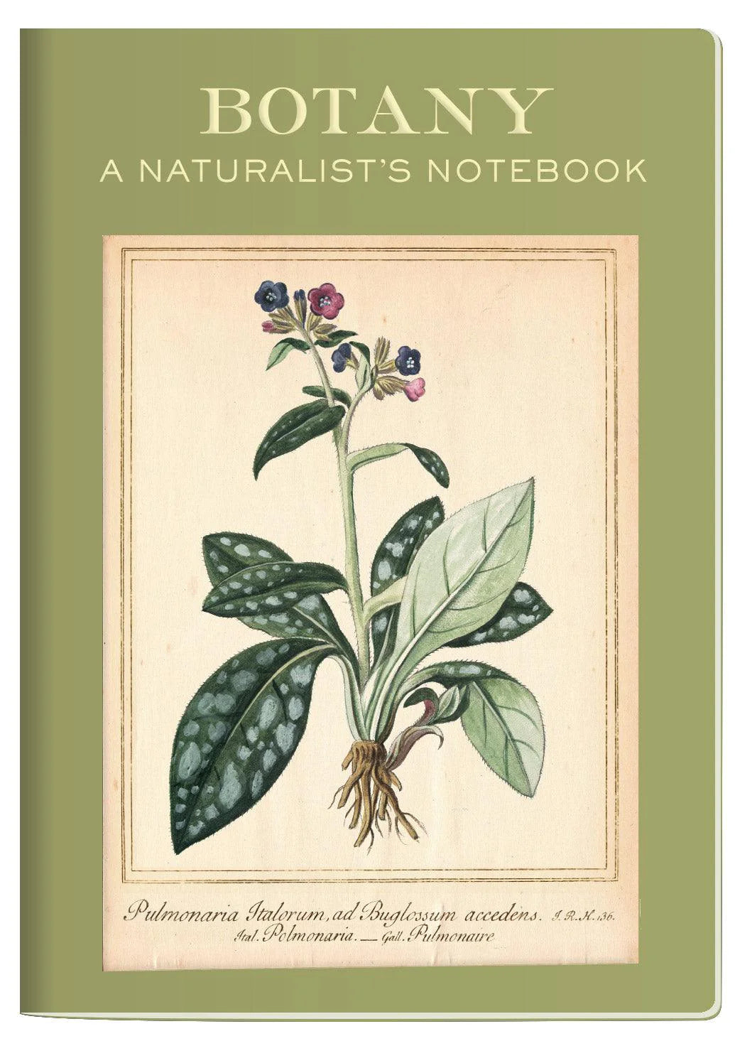 UPG Botany - A Naturalist's Notebook