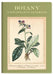UPG Botany - A Naturalist's Notebook
