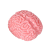 TTN Brain Splat Ball