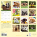 Puppy Love 2025 Wall Calendar    