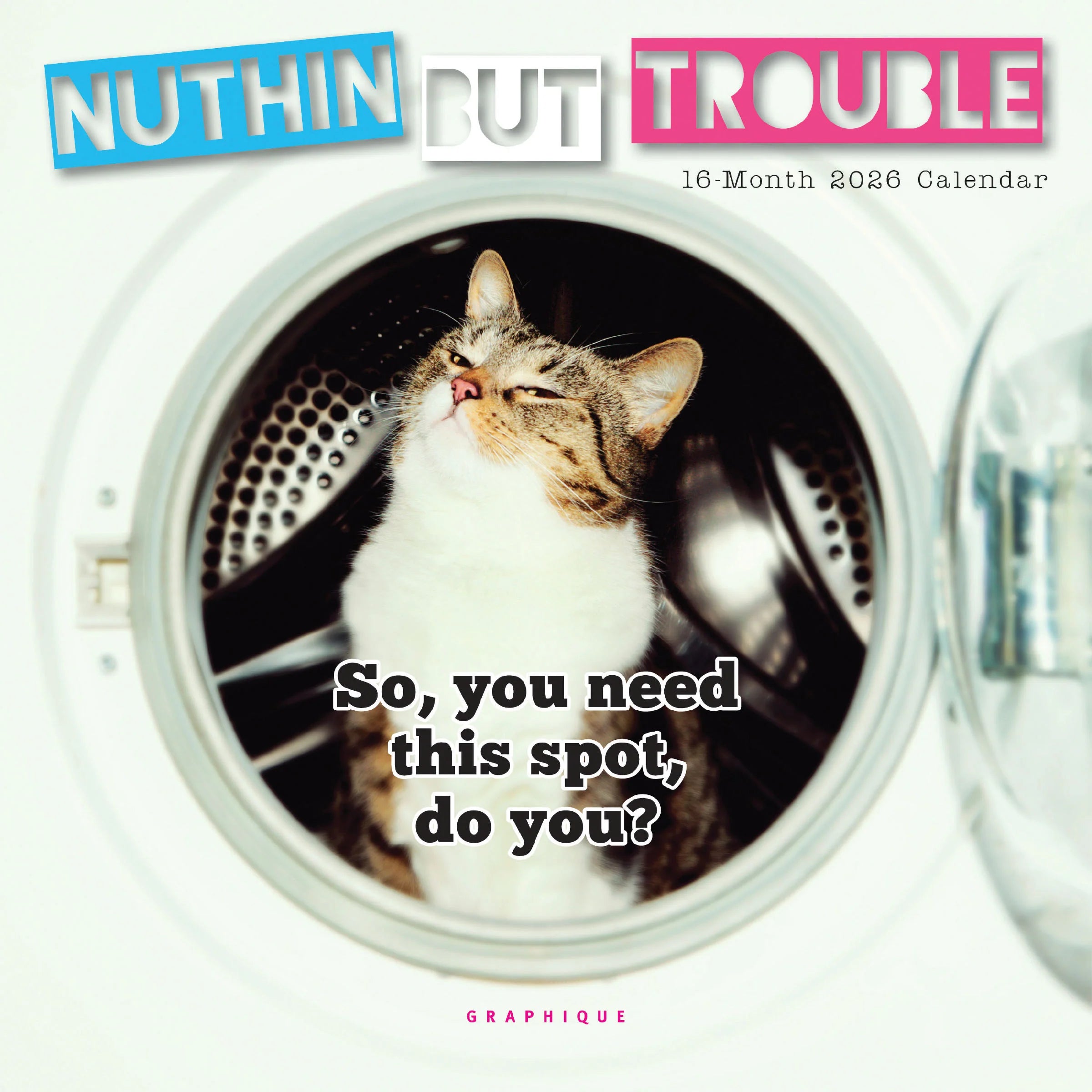 Nuthin But Trouble 2026 Mini Wall Calendar