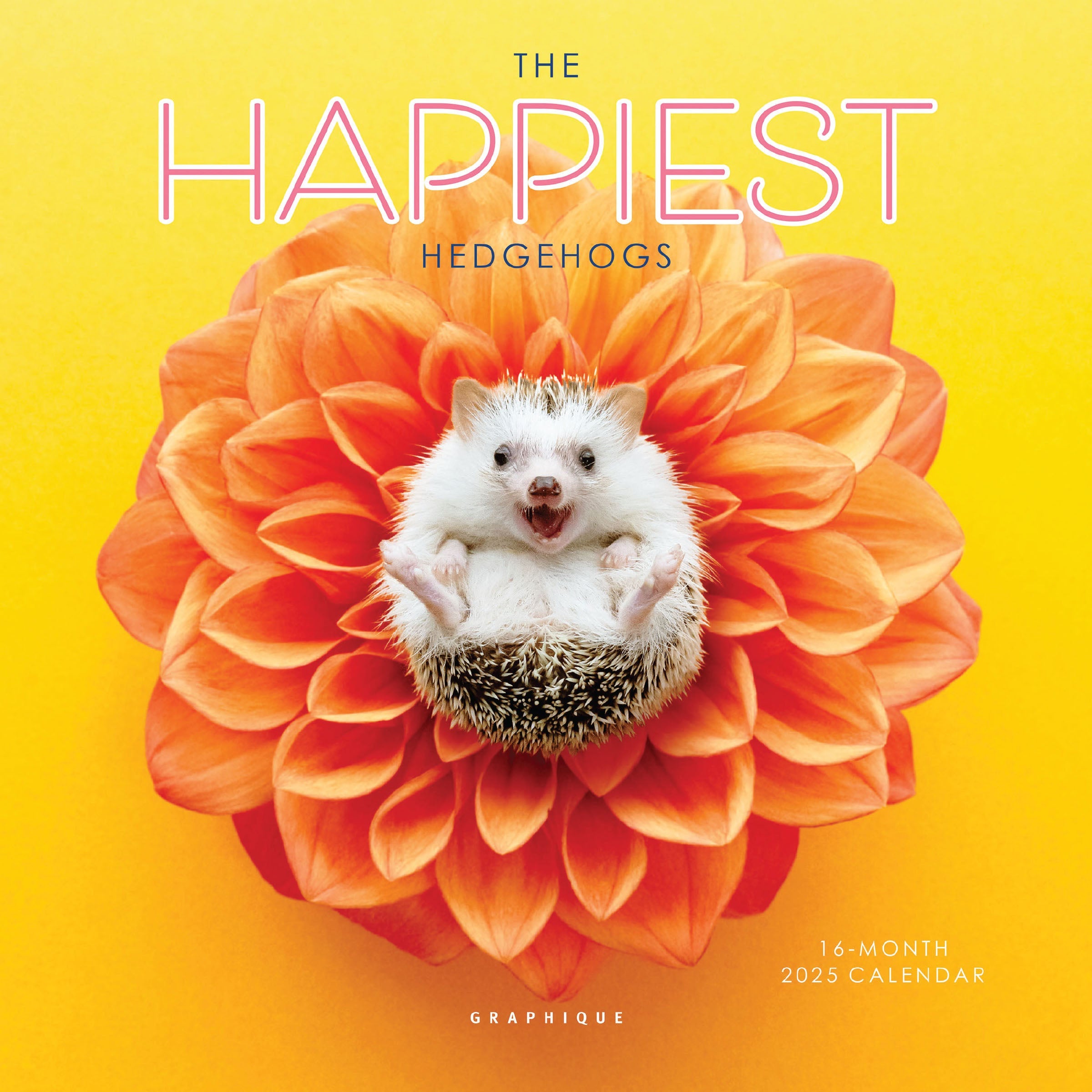 Happiest Hedgehog 2025 Mini Wall Calendar    