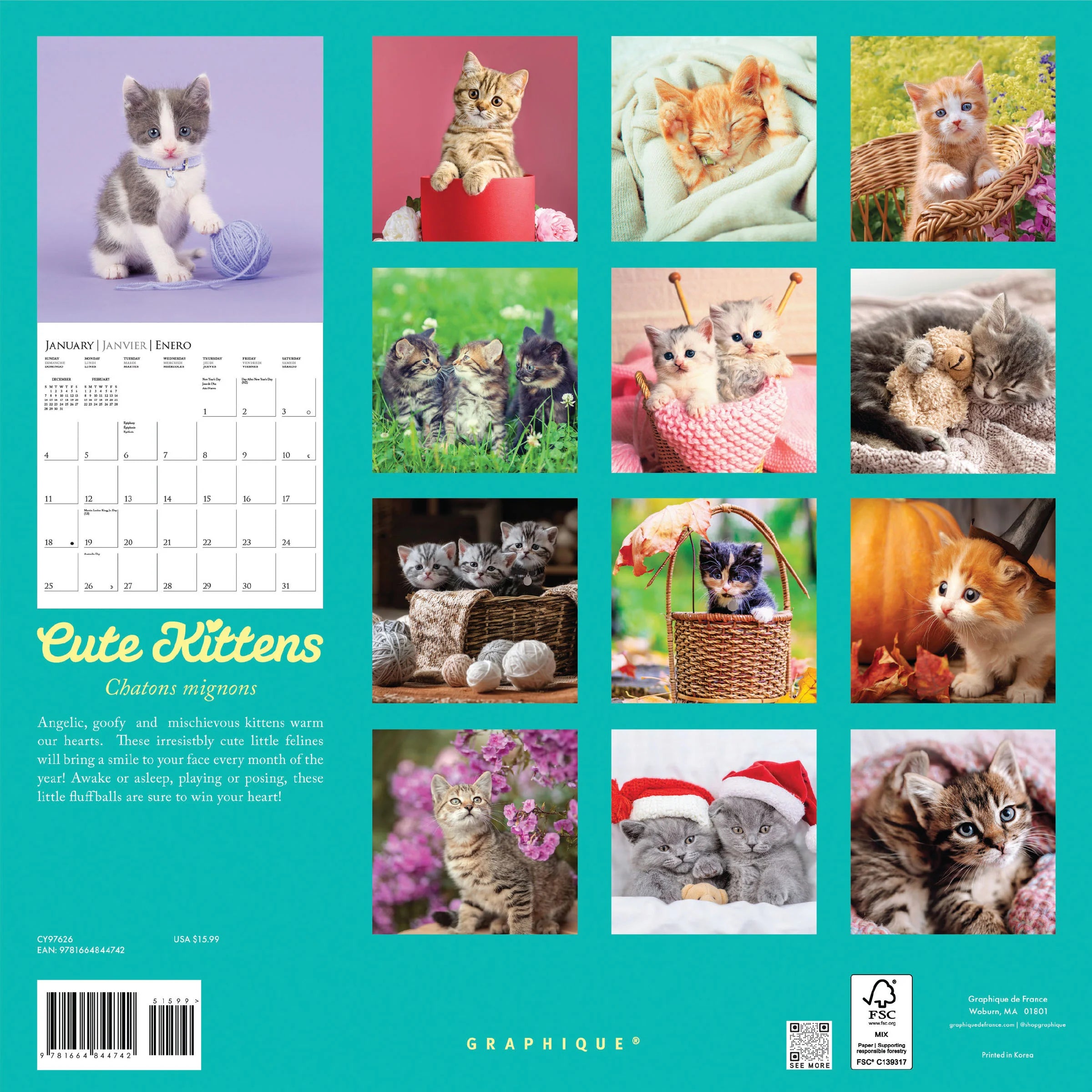Cute Kittens 2026 Wall Calendar