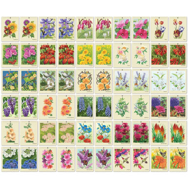 MSTR Farmer's Almanac: Backyard Garden Flowers Memory Game