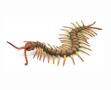 CLLCTA Centipede