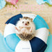Happy Hedgehog 2026 Mini Wall Calendar