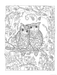 DVR Creative Haven® Coloring Book: Owls