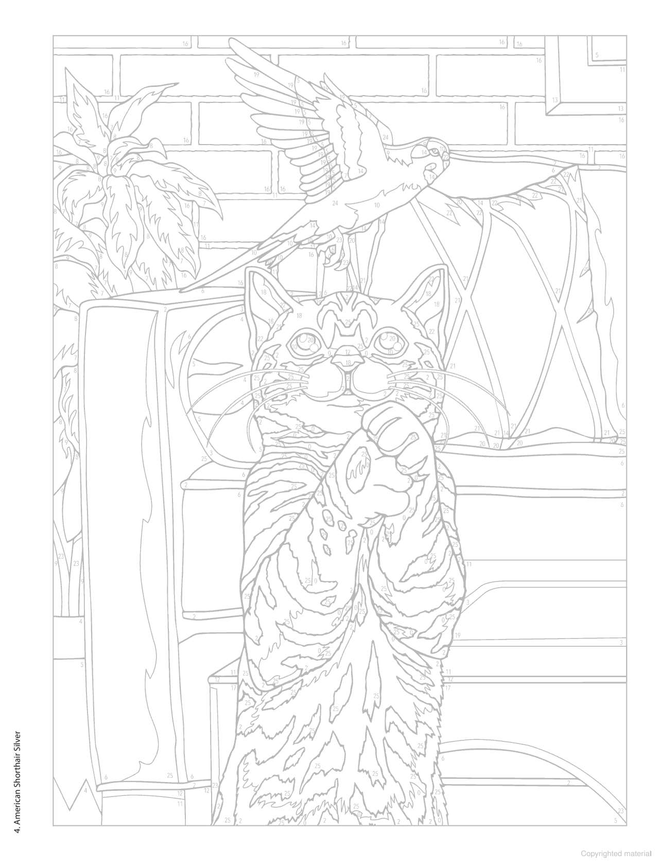 DVR Creative Haven® Color-By-Number: Cats