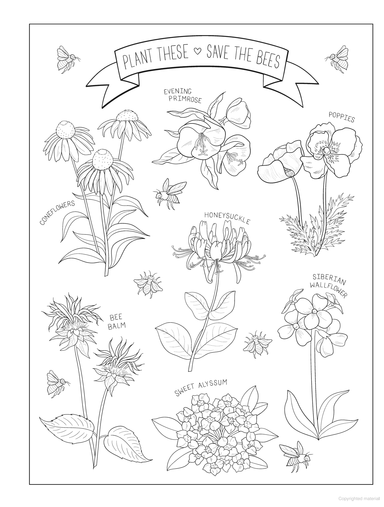 DVR Creative Haven® Coloring Book: Wildflowers