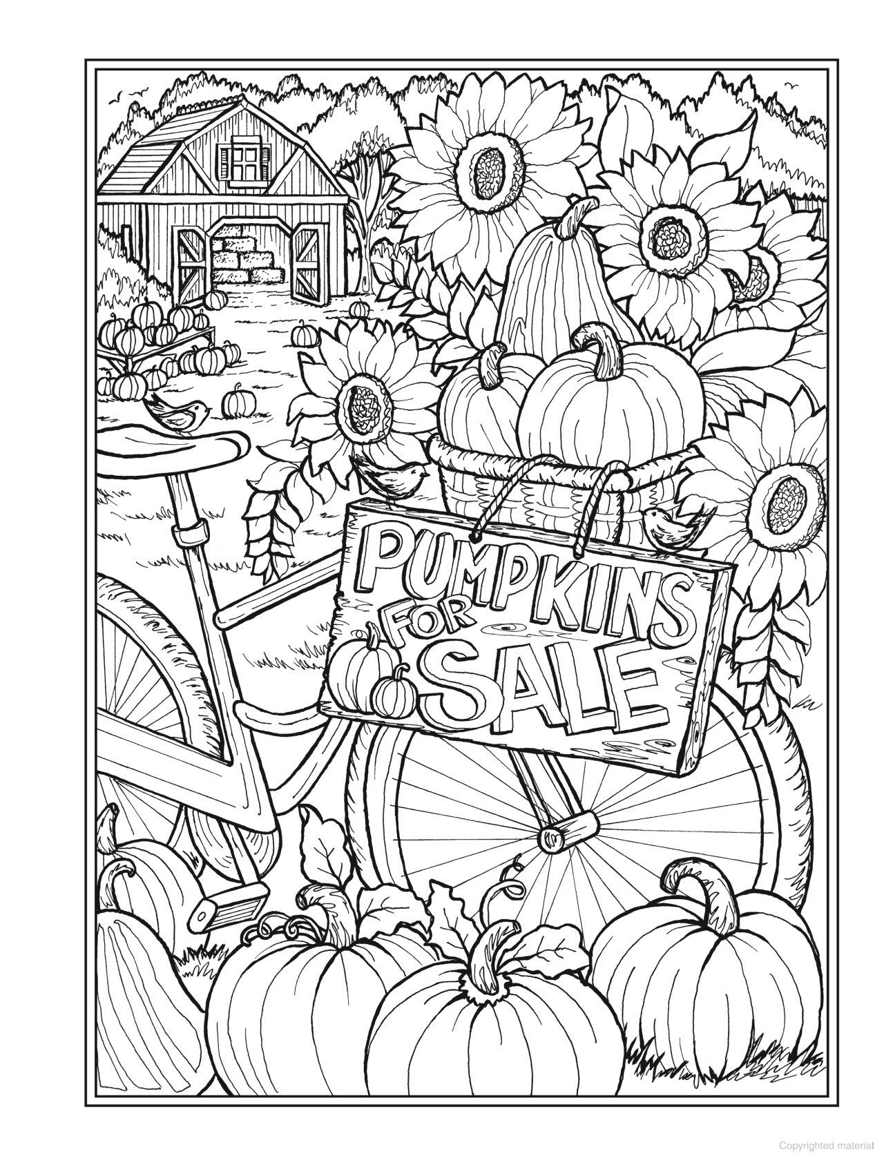 DVR Creative Haven® Coloring Book: Autumn Harvest