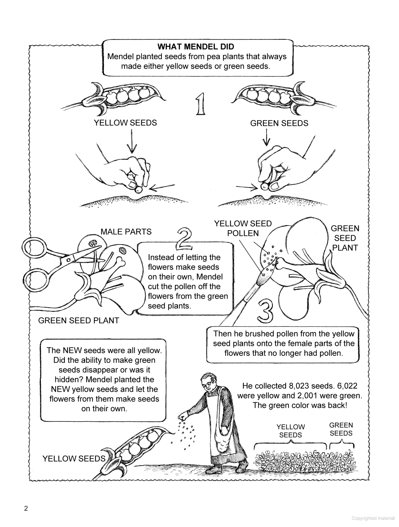 My First Book About Genetics