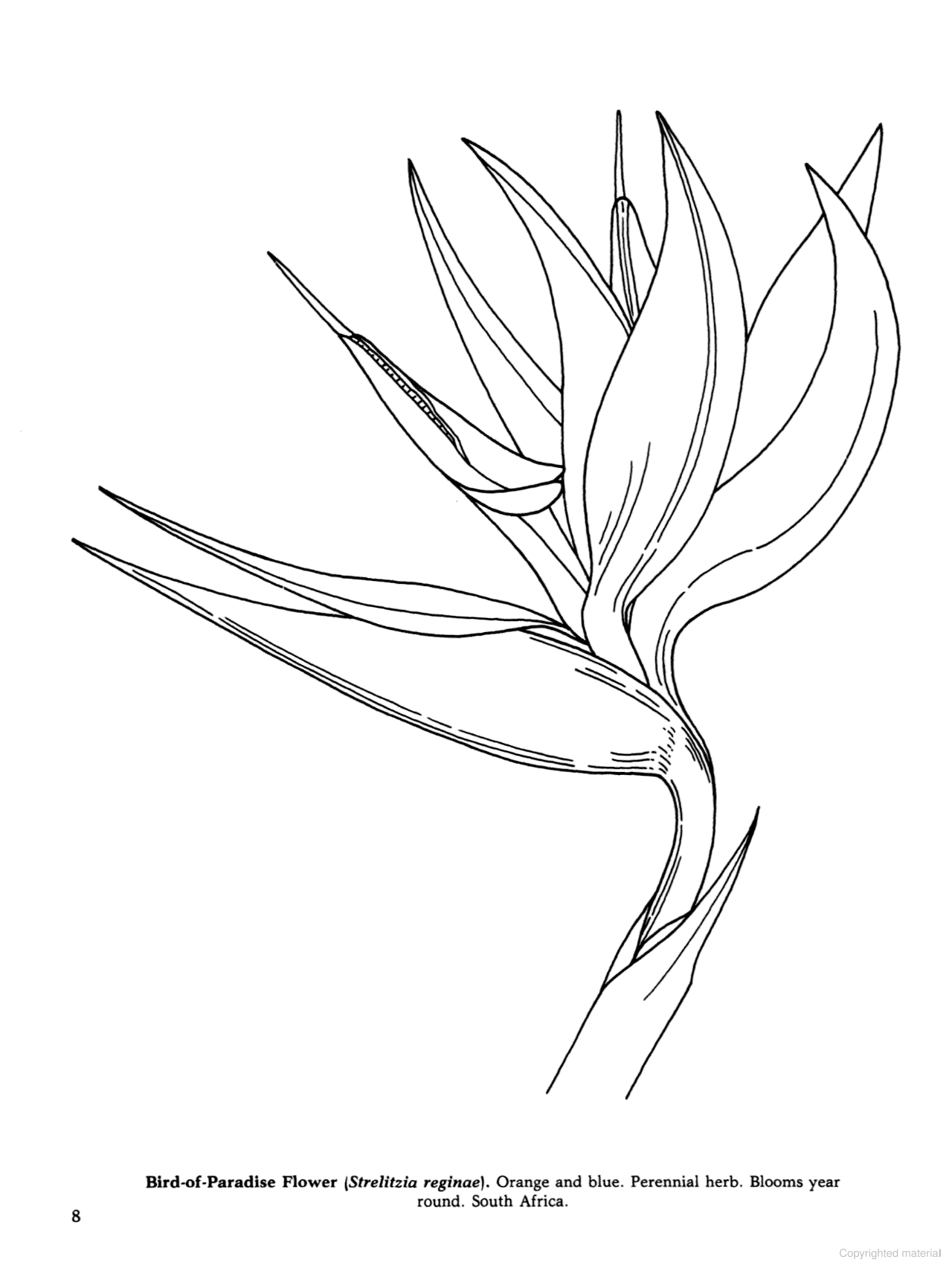 Tropical Flowers of the World Coloring Book