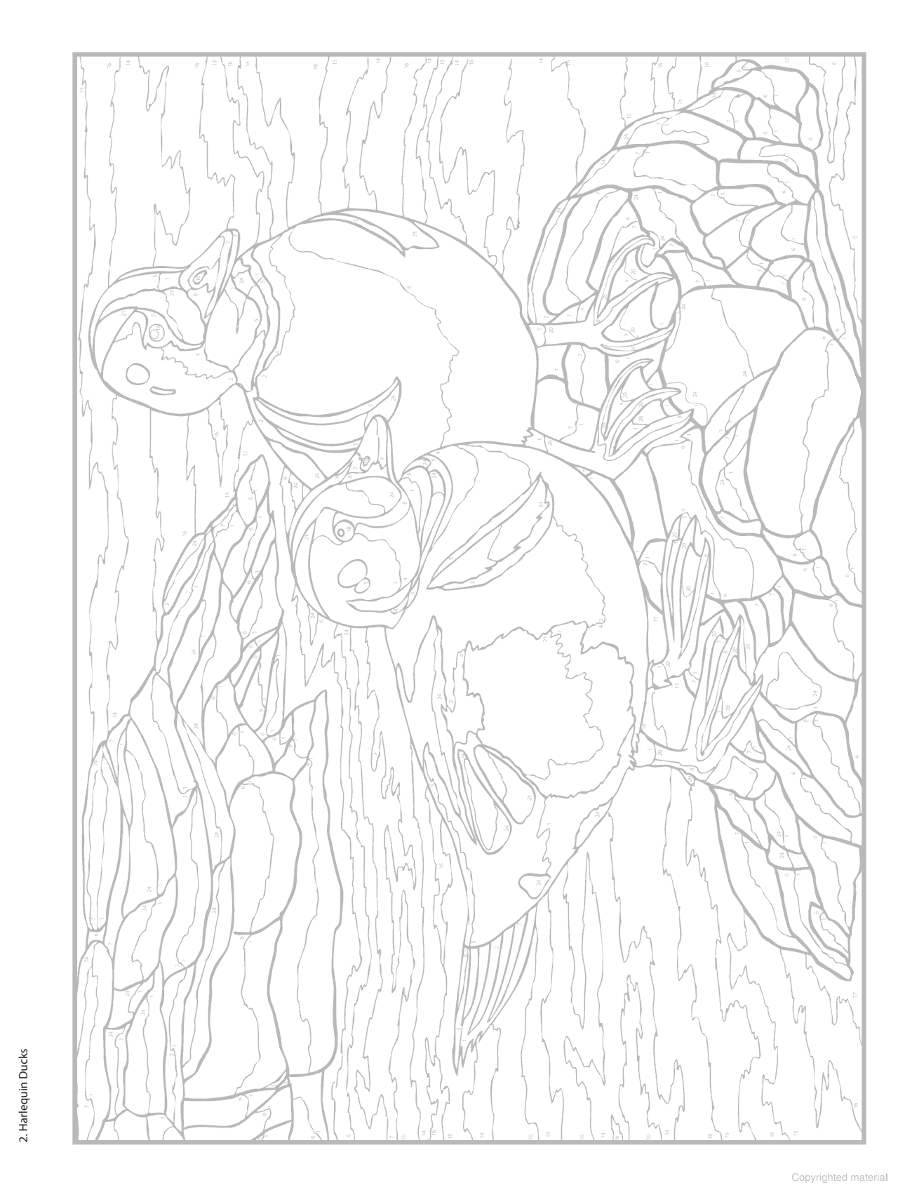 DVR Creative Haven® Color-By-Number: Birds