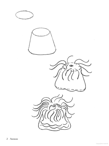 How to Draw Aquarium Animals