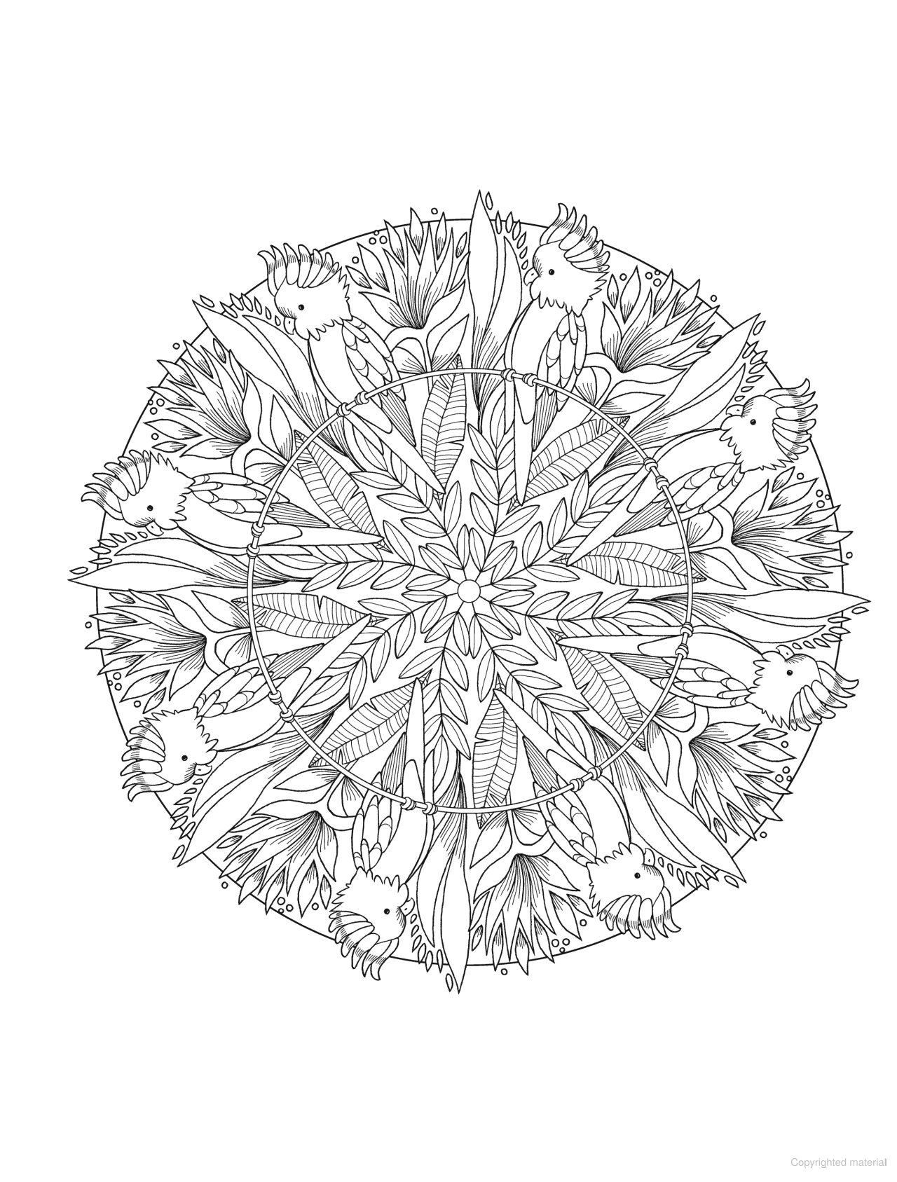 DVR Creative Haven® Coloring Book: Bird Mandalas