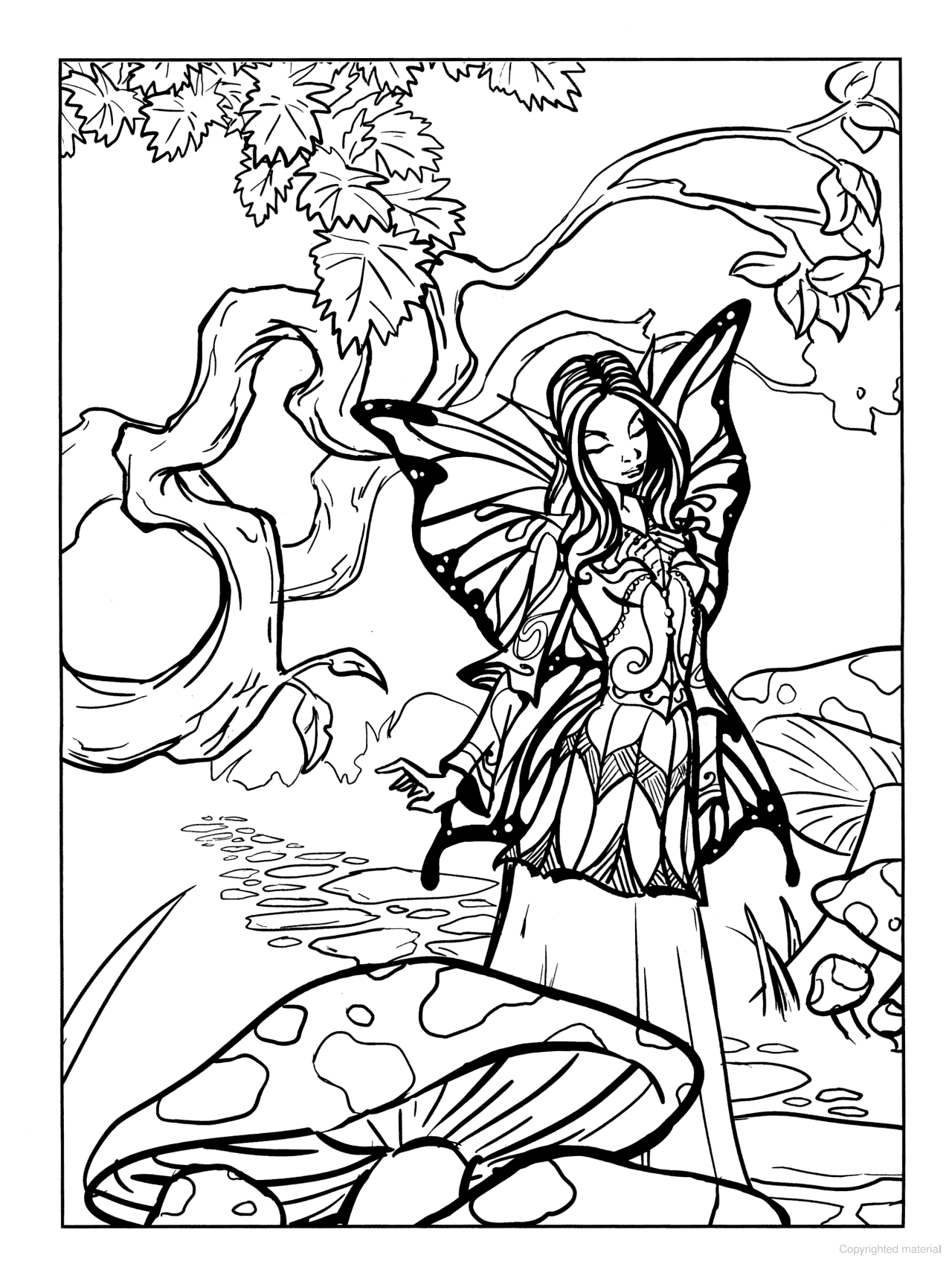 DVR Fairy Fashion Coloring Book
