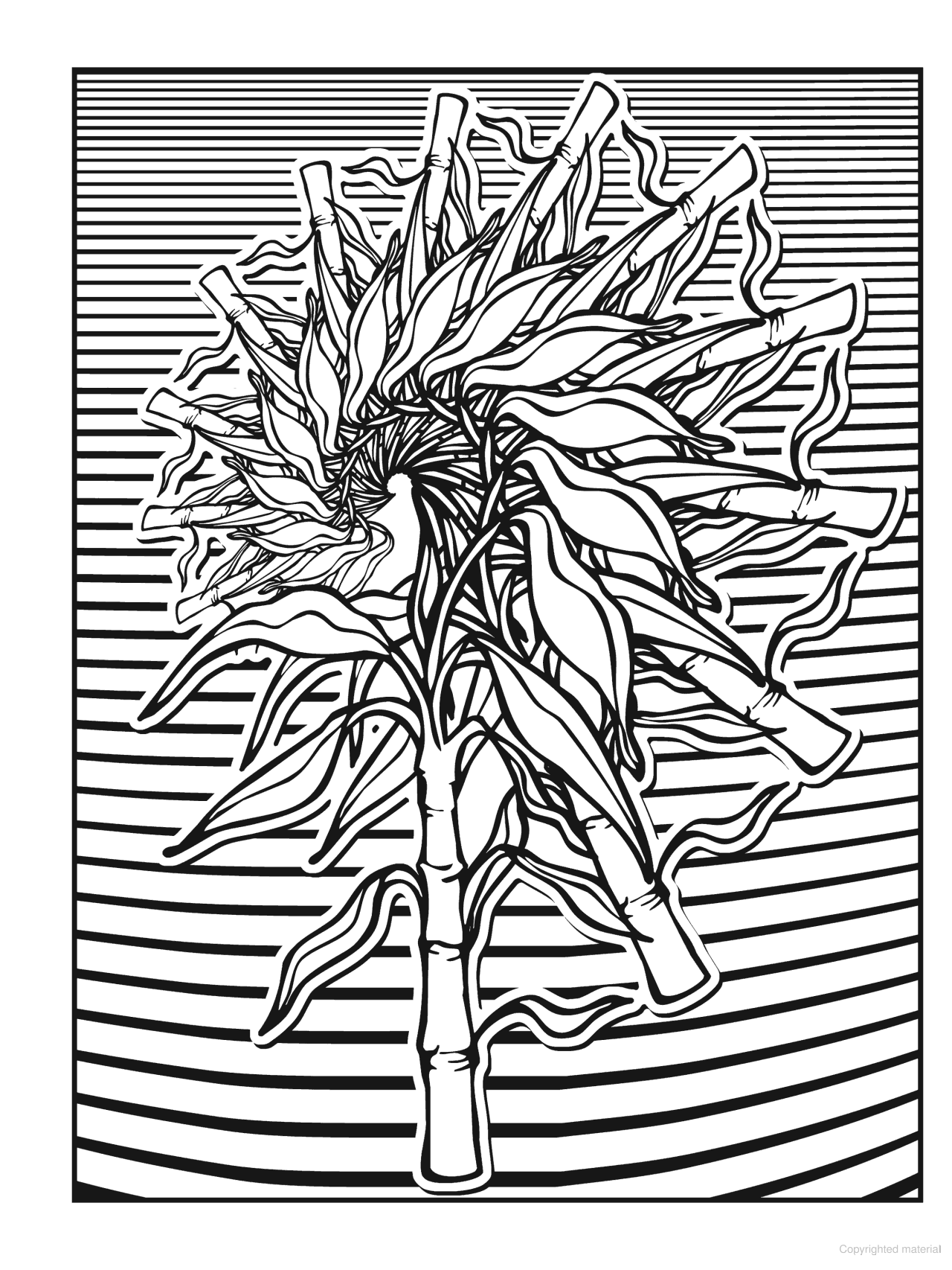 DVR Creative Haven® Coloring Book: Nature Fractals