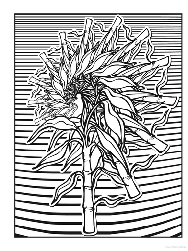 DVR Creative Haven® Coloring Book: Nature Fractals