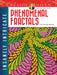 DVR Creative Haven® Coloring Book: Phenomenal Fractals