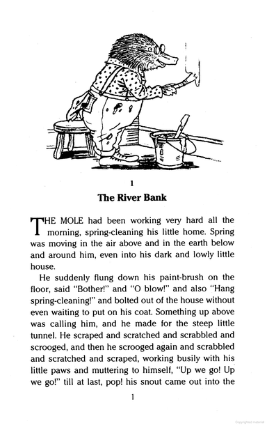 DVR The Wind in the Willows