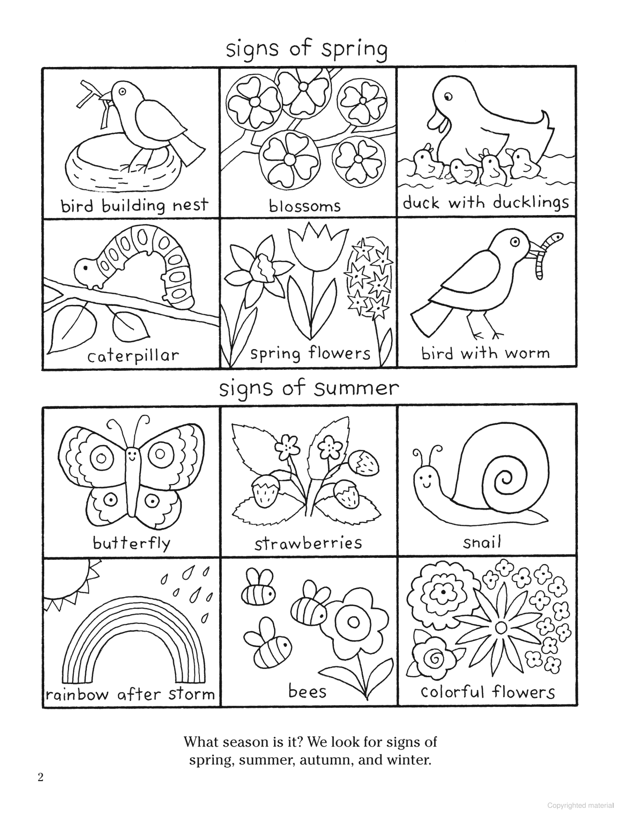 Color Your World: A Walk in the Woods