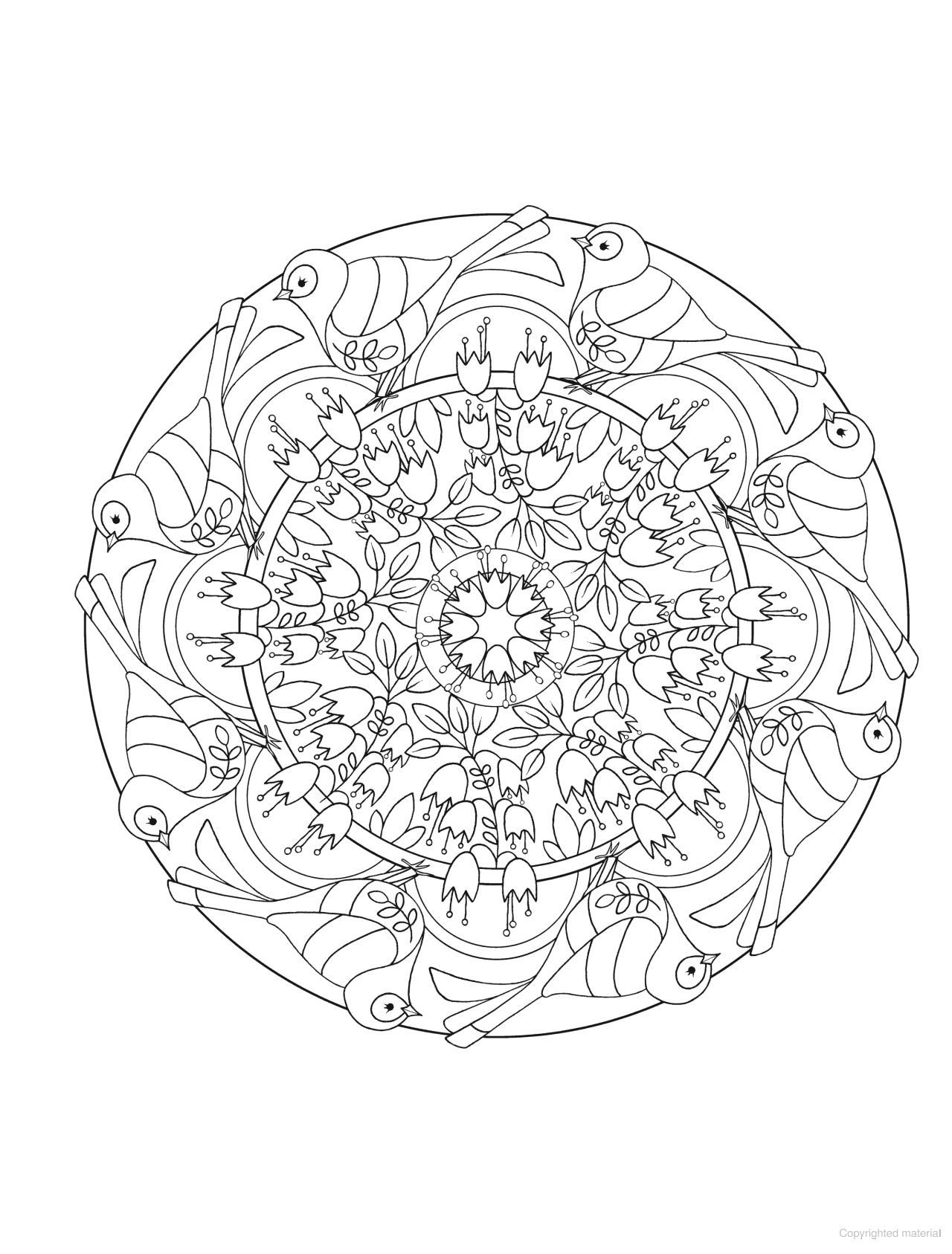 DVR Creative Haven® Coloring Book: Bird Mandalas
