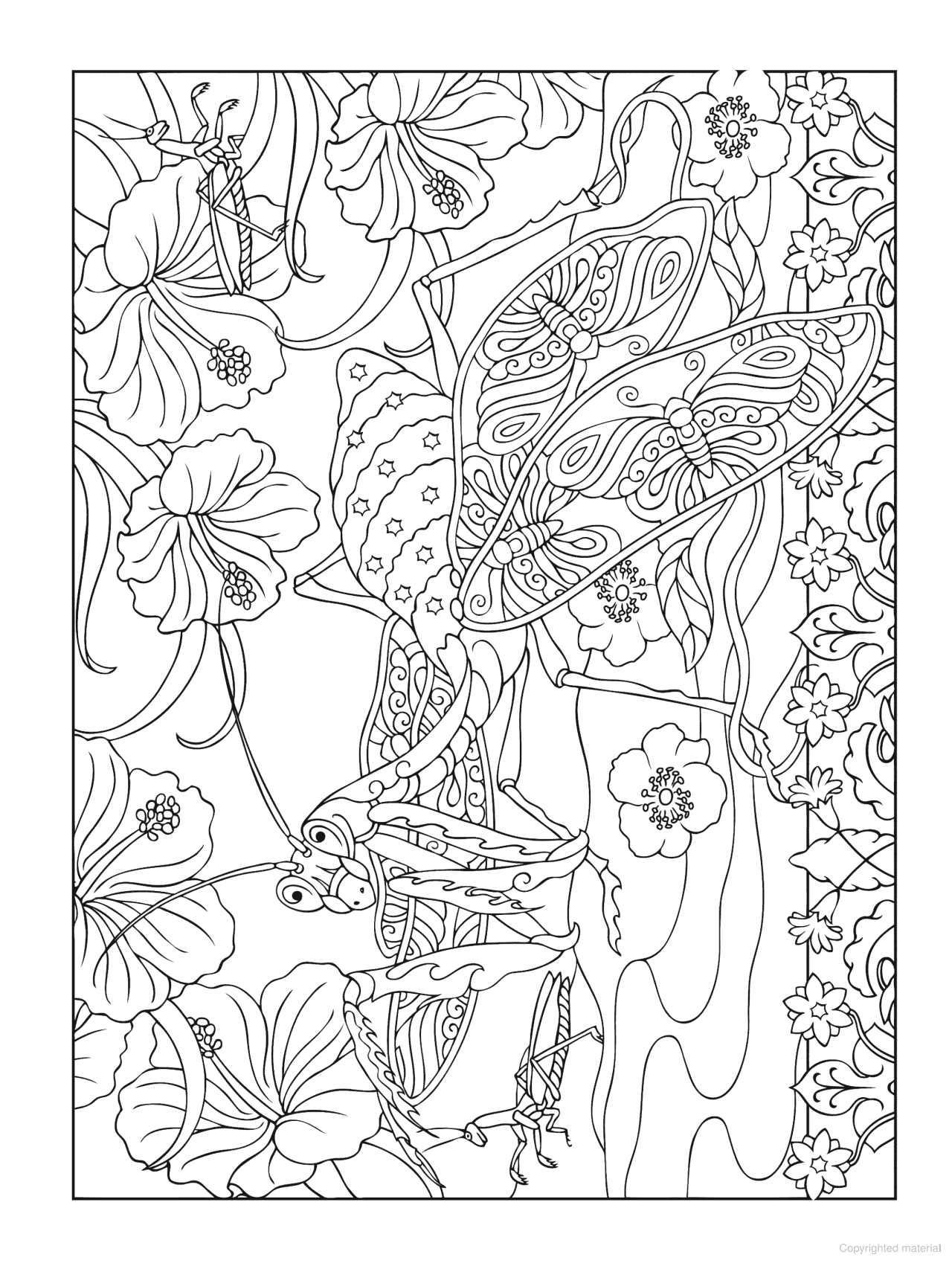 DVR Creative Haven® Coloring Book: Incredible Insect Designs