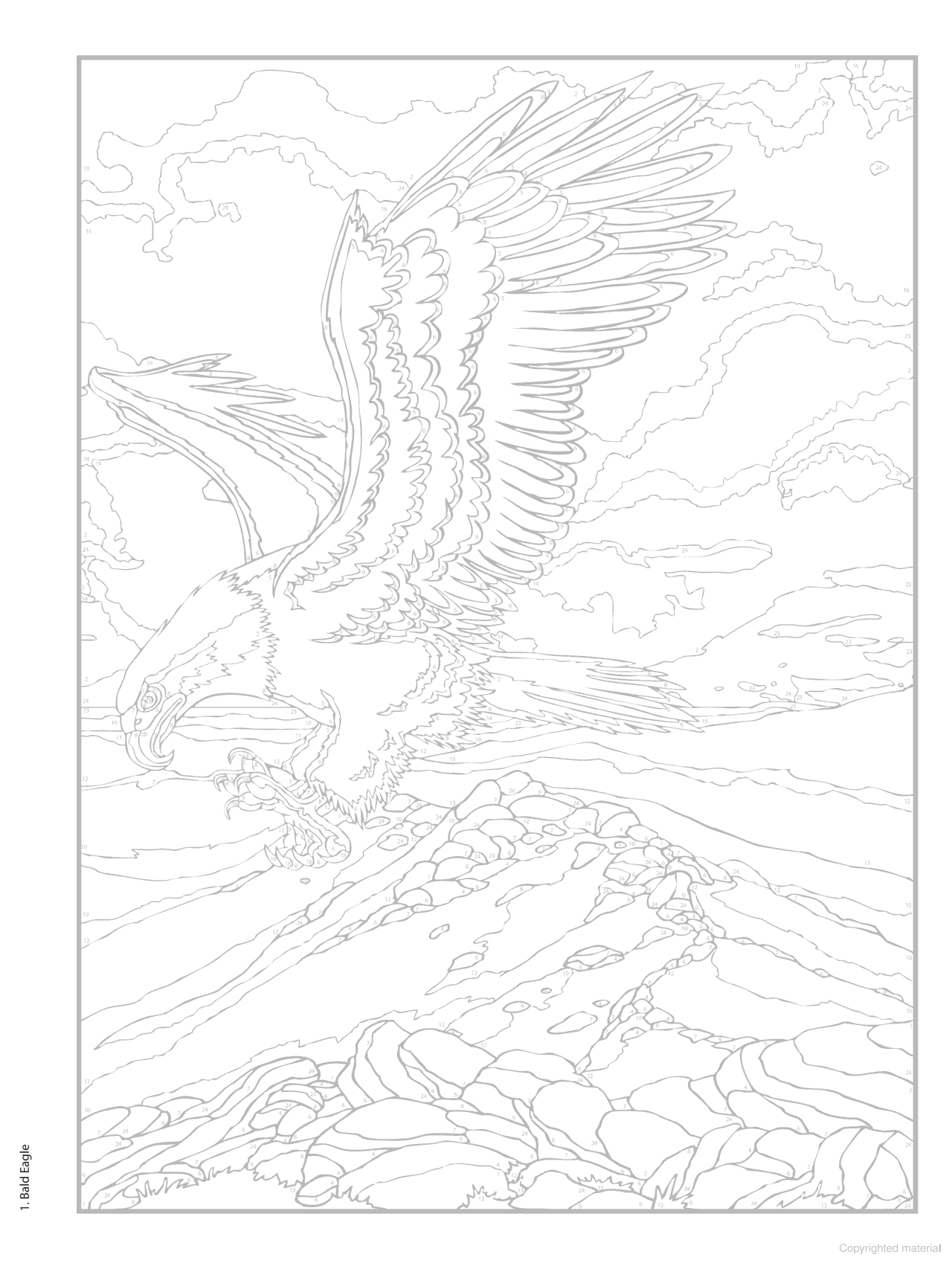 DVR Creative Haven® Color-By-Number: Birds