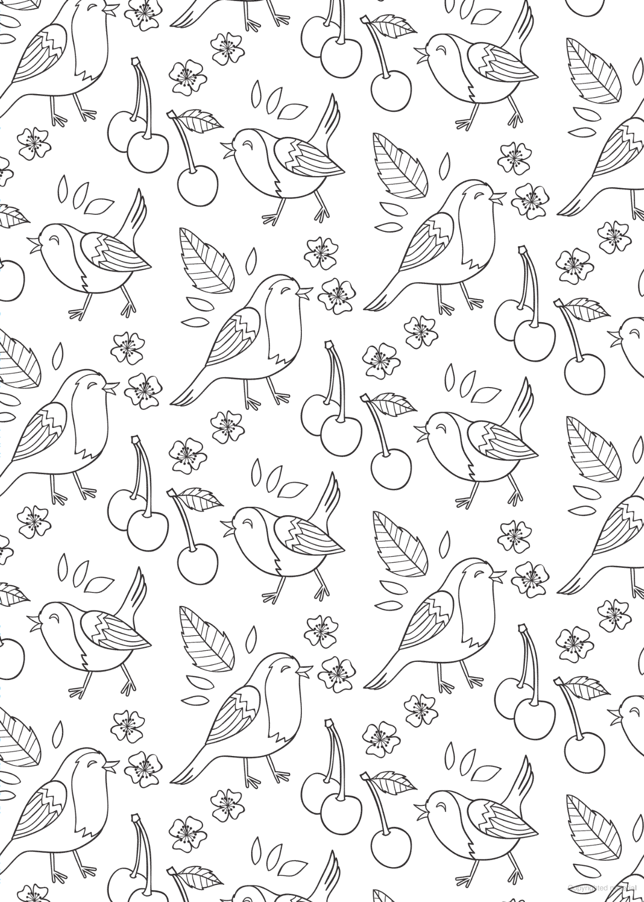 DVR Nature - Bliss Coloring Book