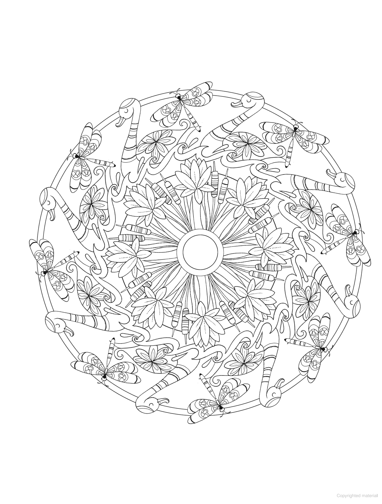 DVR Creative Haven® Coloring Book: Bird Mandalas