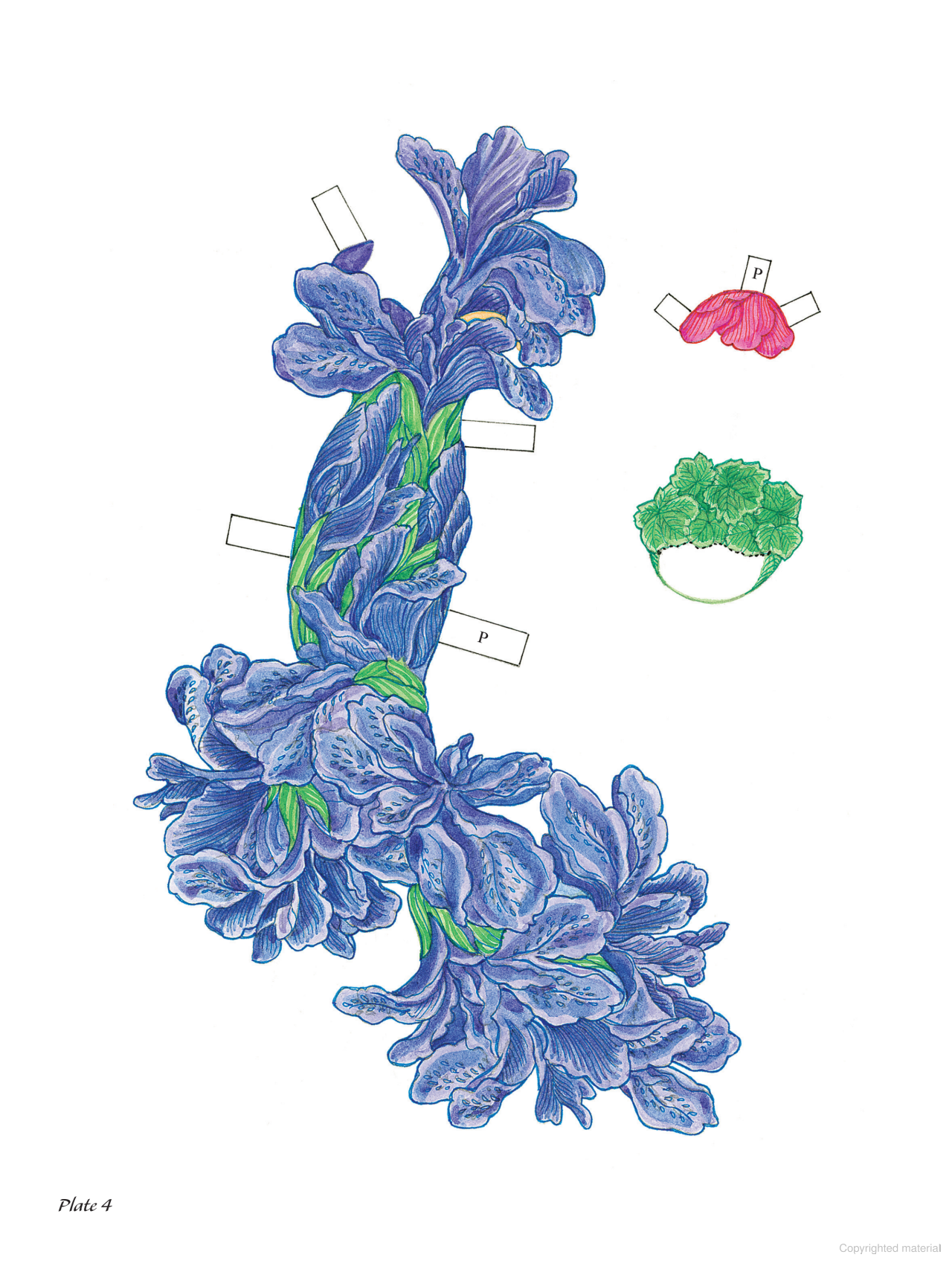 Flower Fashion Fantasies Paper Dolls