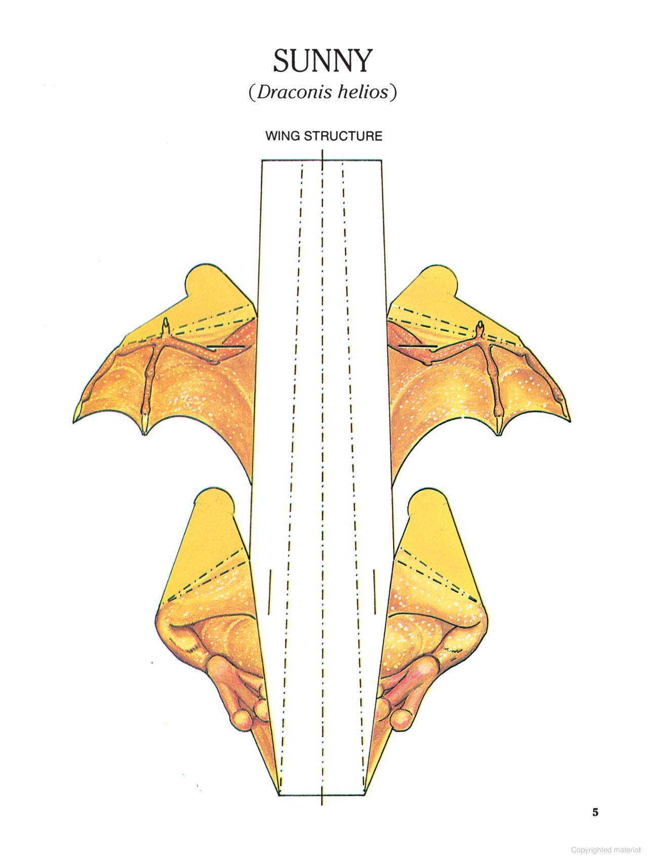 DVR Cut and Assemble Paper Dragons That Fly