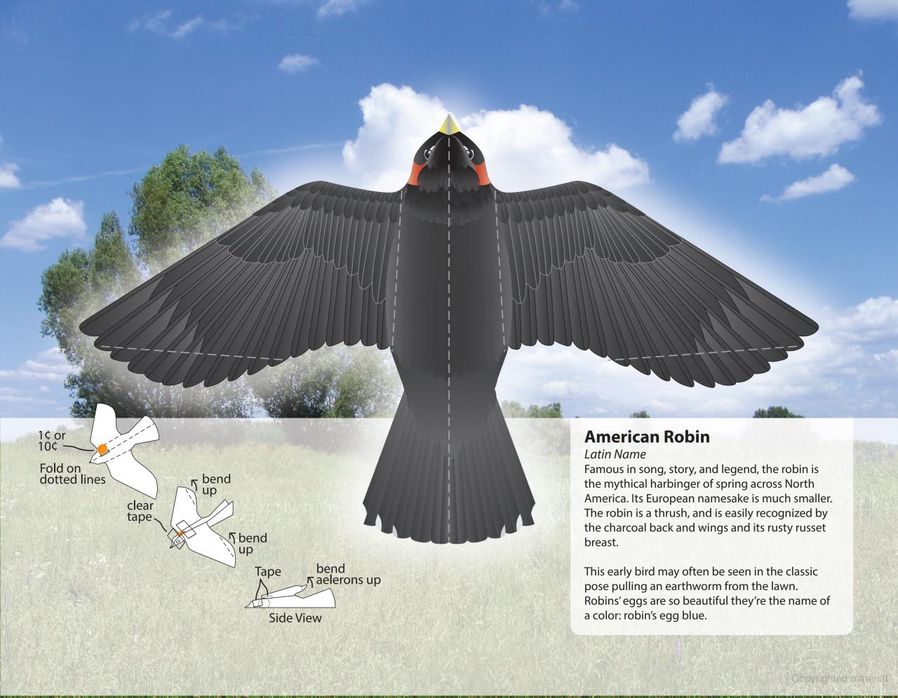 DVR Fantastic Press-Out Flying Birds