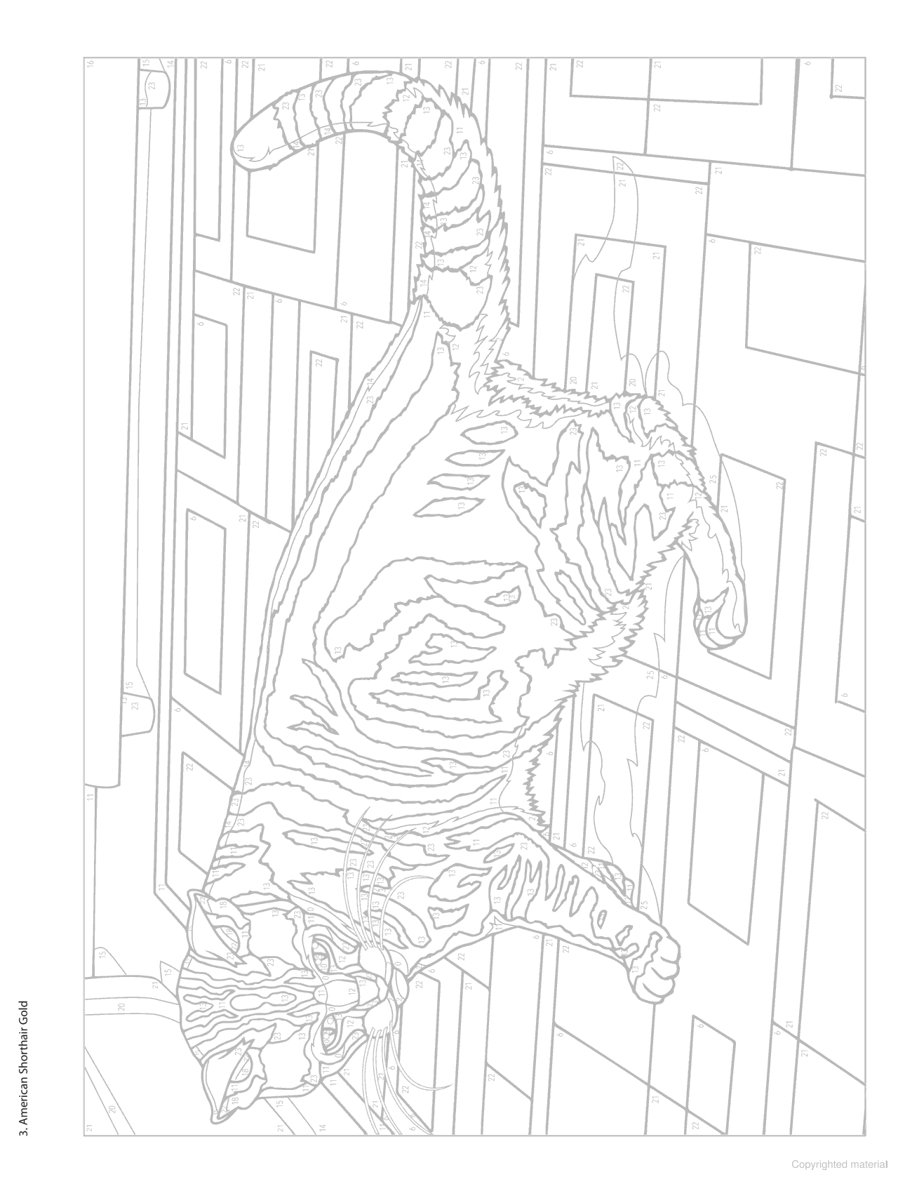 DVR Creative Haven® Color-By-Number: Cats