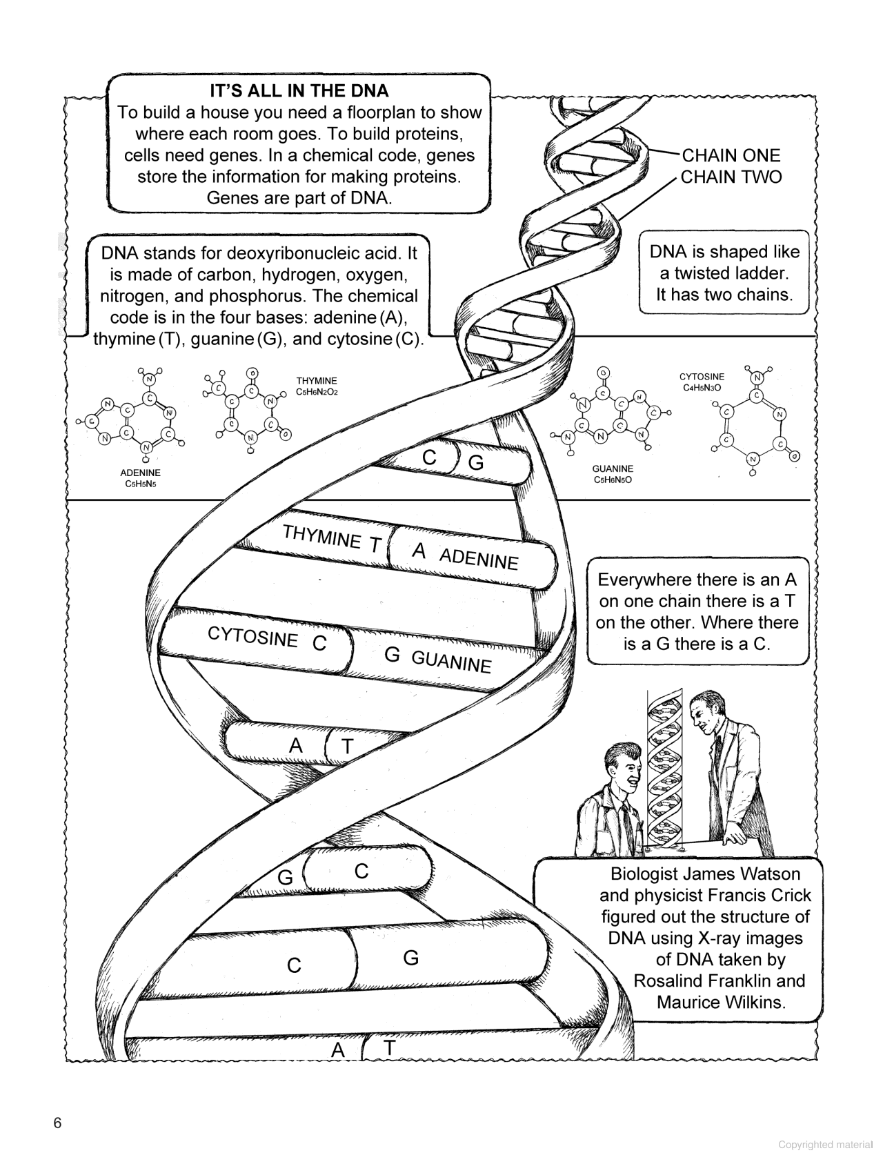 My First Book About Genetics