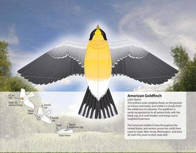 DVR Fantastic Press-Out Flying Birds