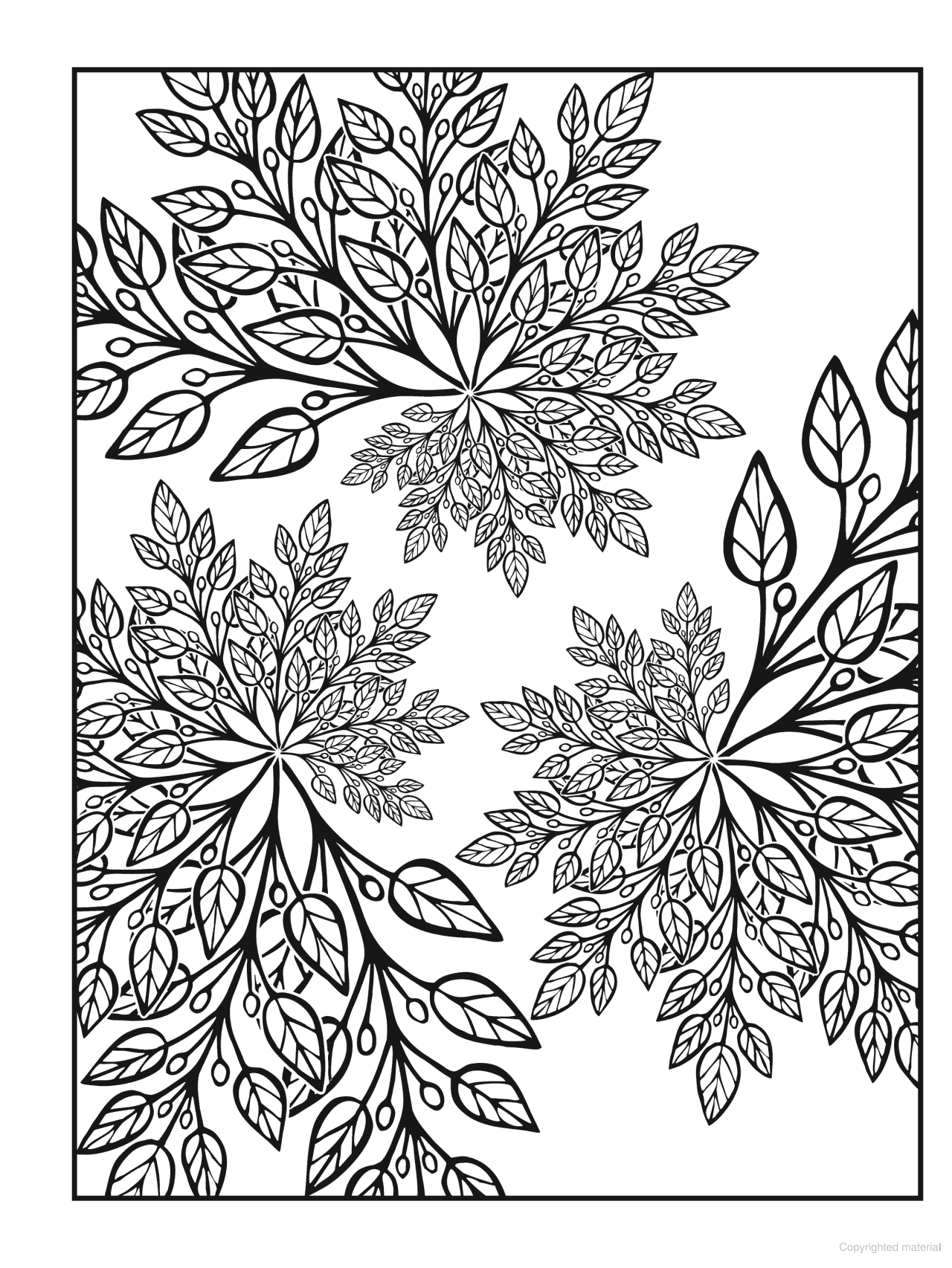 DVR Creative Haven® Coloring Book: Nature Fractals