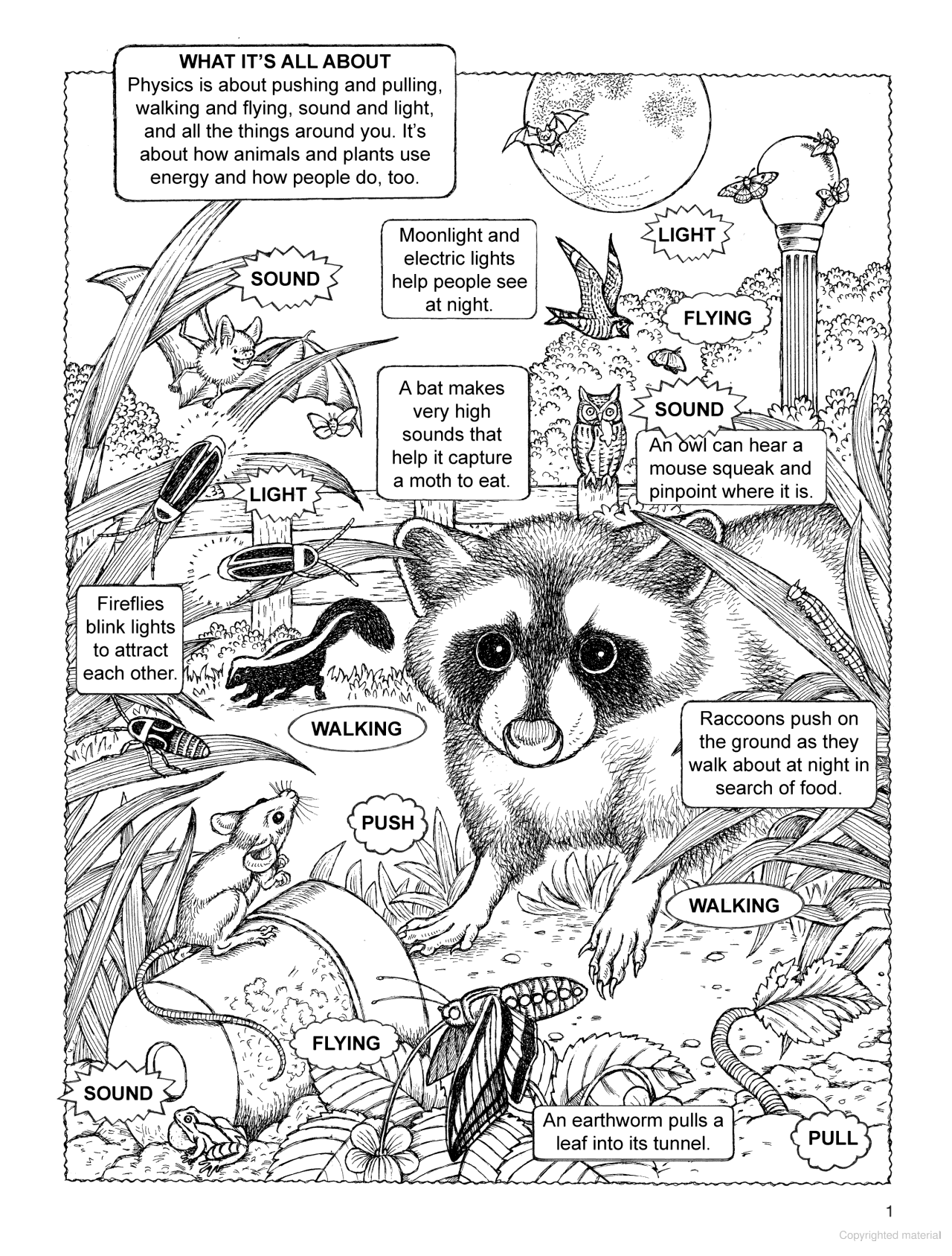 My First Book About Physics