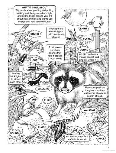 My First Book About Physics