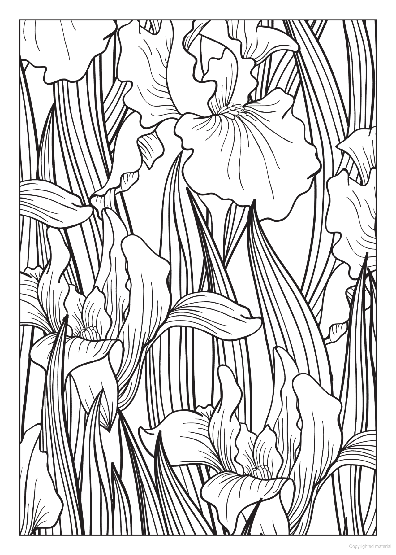 Bliss Flowers Coloring Book