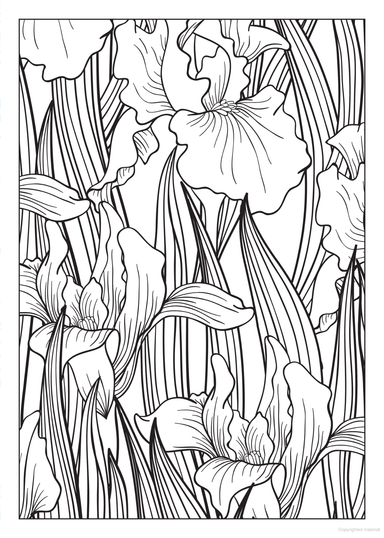 Bliss Flowers Coloring Book
