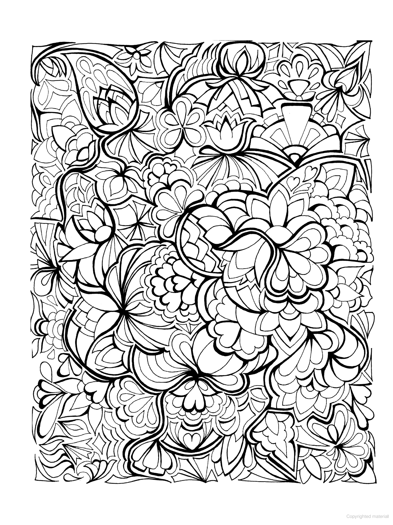 DVR Creative Haven® Coloring Book: Floral Frenzy
