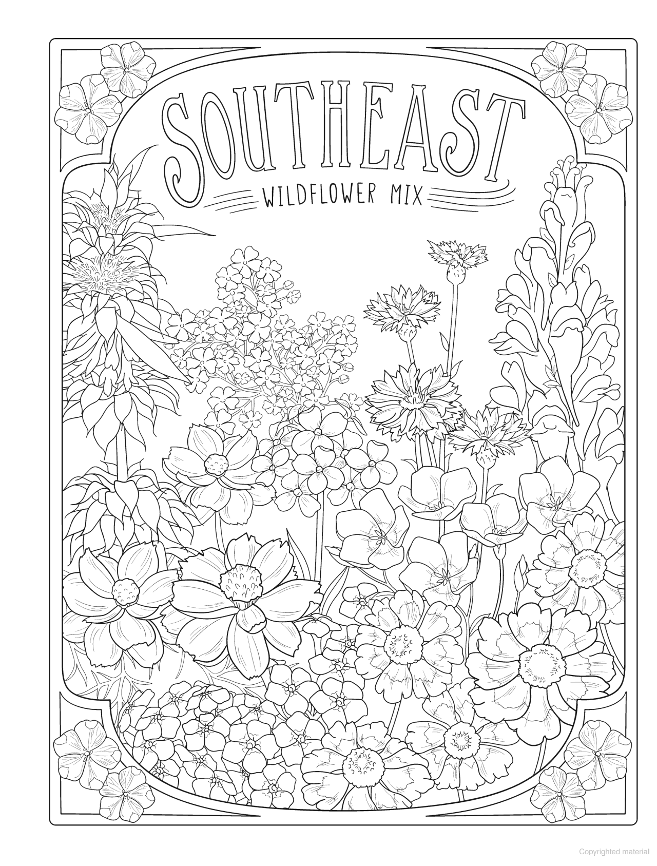 DVR Creative Haven® Coloring Book: Wildflowers