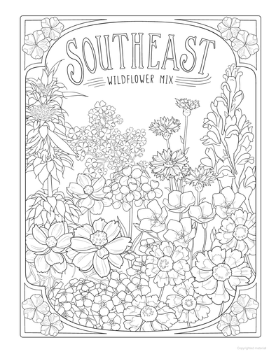 DVR Creative Haven® Coloring Book: Wildflowers