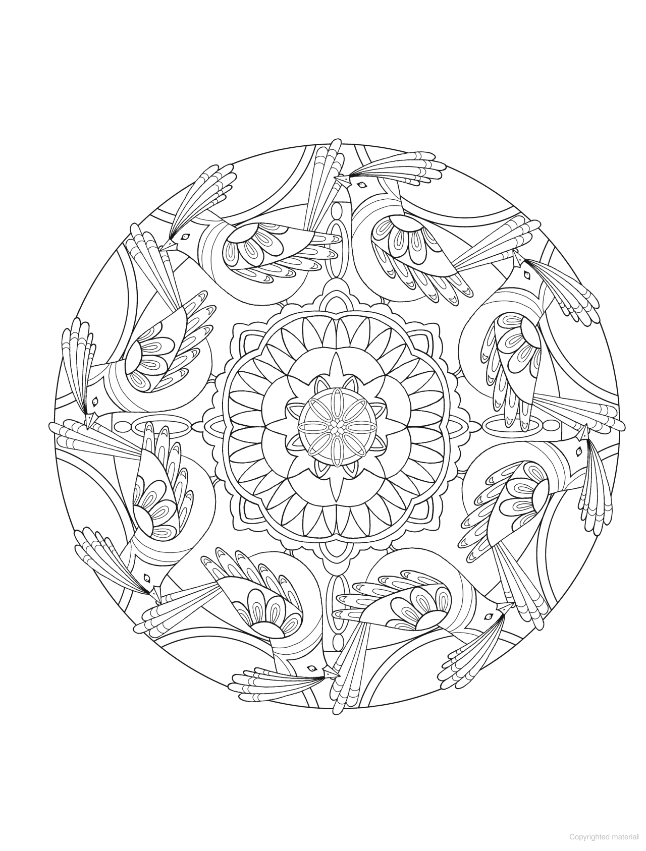 DVR Creative Haven® Coloring Book: Bird Mandalas